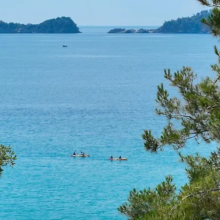 Marion Chrisi Ammoudia